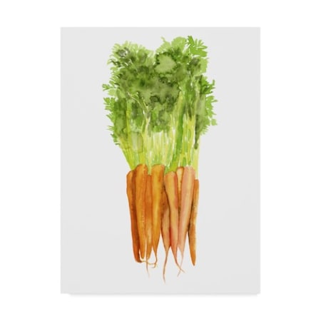 Naomi Mccavitt 'Watercolor Veggie Iii' Canvas Art,35x47